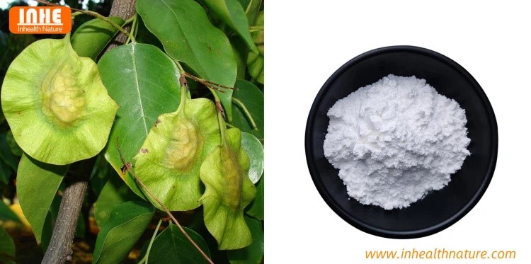 Pterocarpus and Pterostilbene Powder