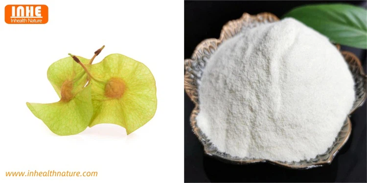 Pterocarpus and Pterostilbene Extract