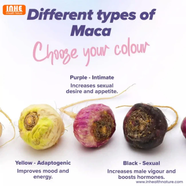 Different Types of Maca