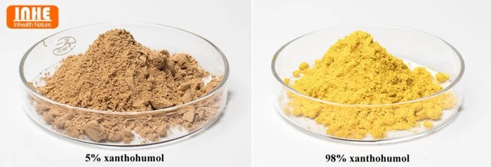 Hops Extract Powder