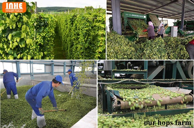 Our Hops Farm
