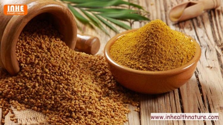 Fenugreek Seed Powder Fenugreek Seed Powder