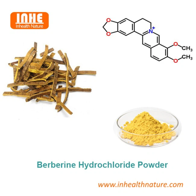 Berberine Hydrochloride Powder Berberine Hydrochloride Powder