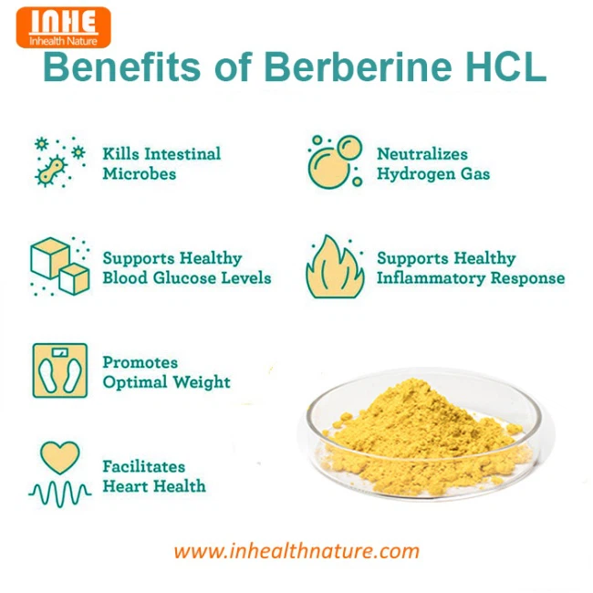 Benefits of Berberine Hydrochloride Powder Benefits of Berberine Hydrochloride Powder