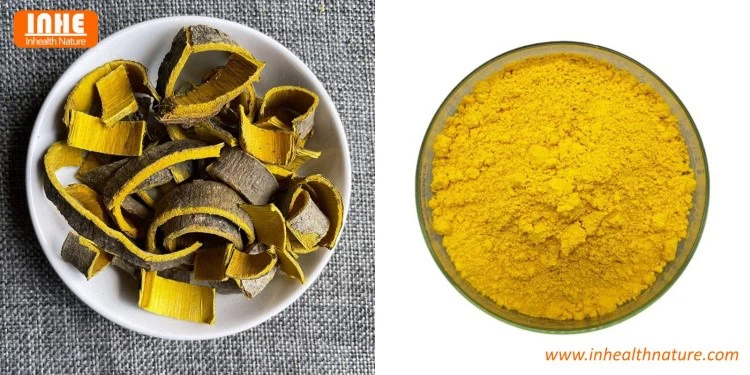 Phellodendron chinense Schneid and Berberine HCL Powder Phellodendron chinense Schneid and Berberine HCL Powder
