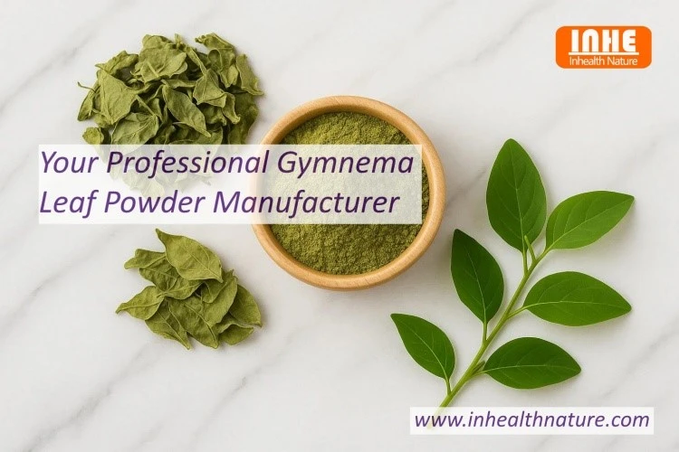 Your Professional Gymnema Leaf Powder Manufacturer Your Professional Gymnema Leaf Powder Manufacturer